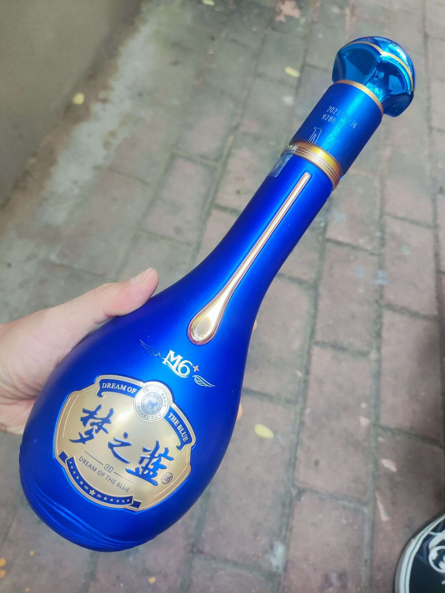 梦之蓝 M6+ 500ml 20240911 113530